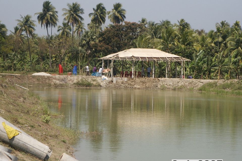 Pict0064