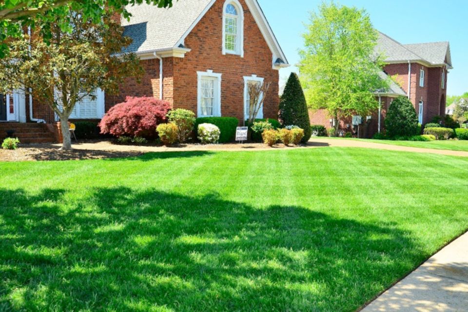 Lawncare lawnmaitenance20170408 1562 i0gpto