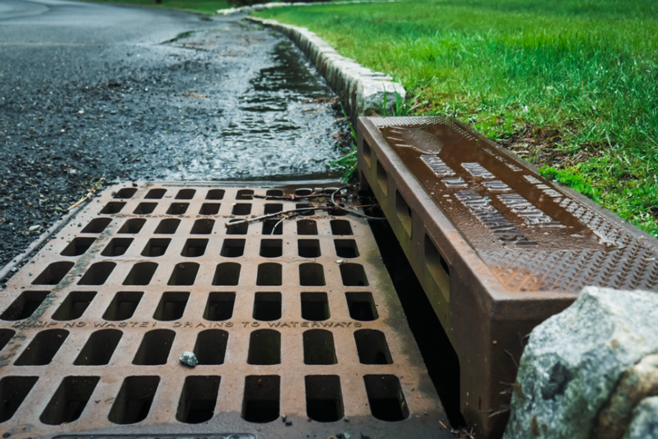 Screen shot 2026 01 19 at 2.32.22 pm