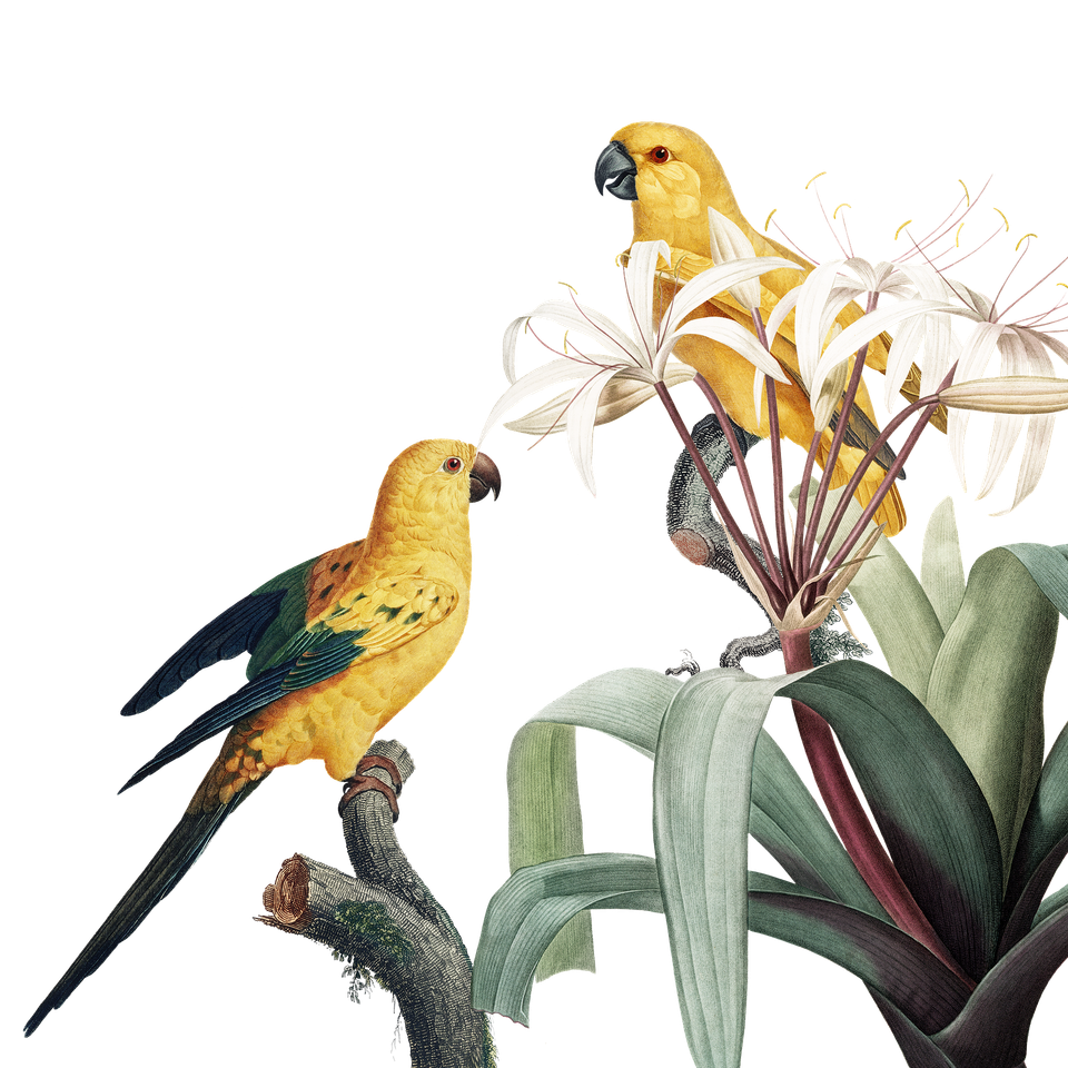 Bird g33c93fb9d 1920