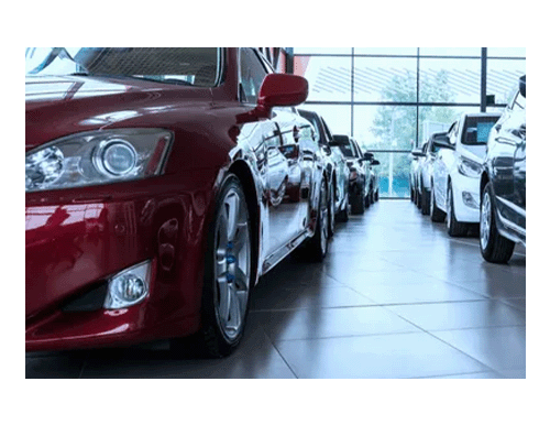 Cars lined up in dealership showroom