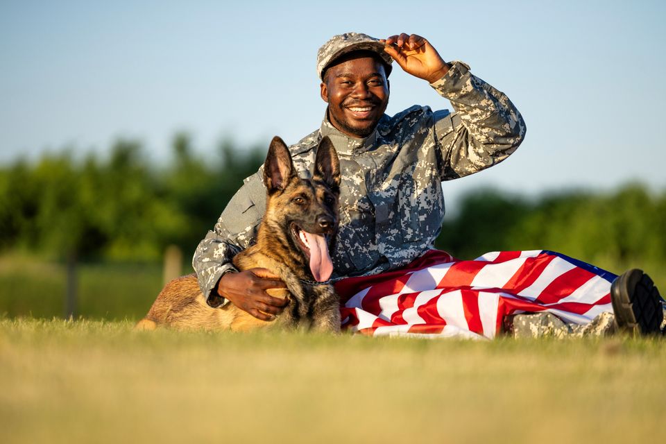 Portrait cheerful american soldier his military dog lying grass