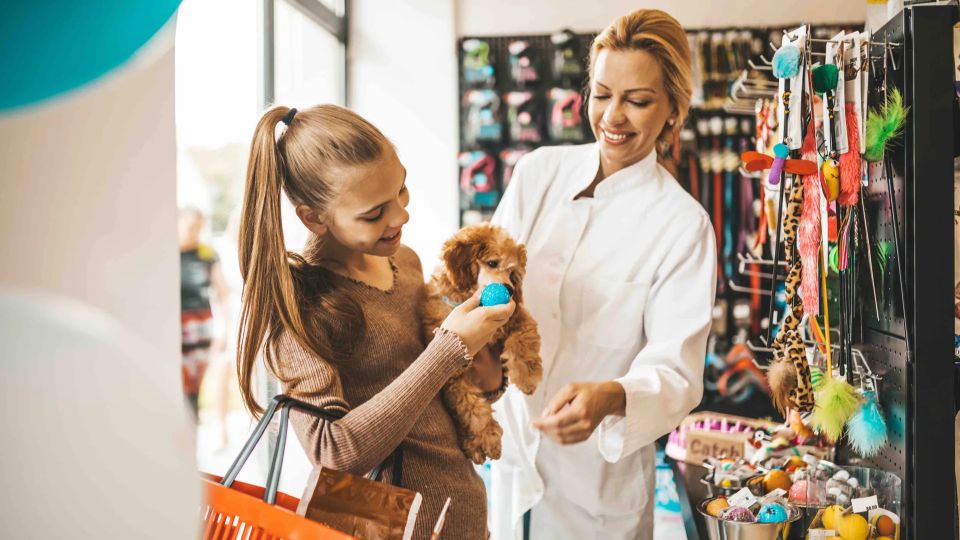 How to Sell Directory Listings to Pet Shops