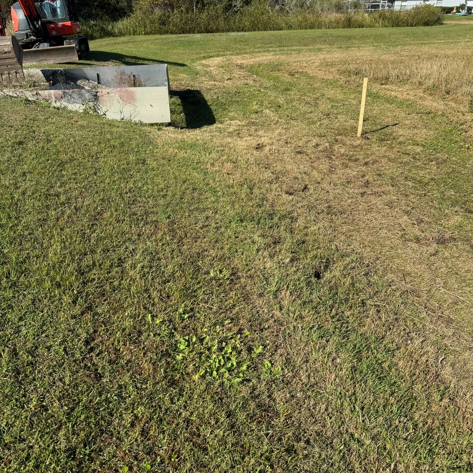 Backwateroaks during5