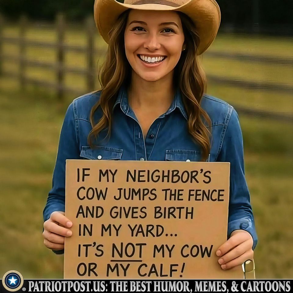 My neighbors cow
