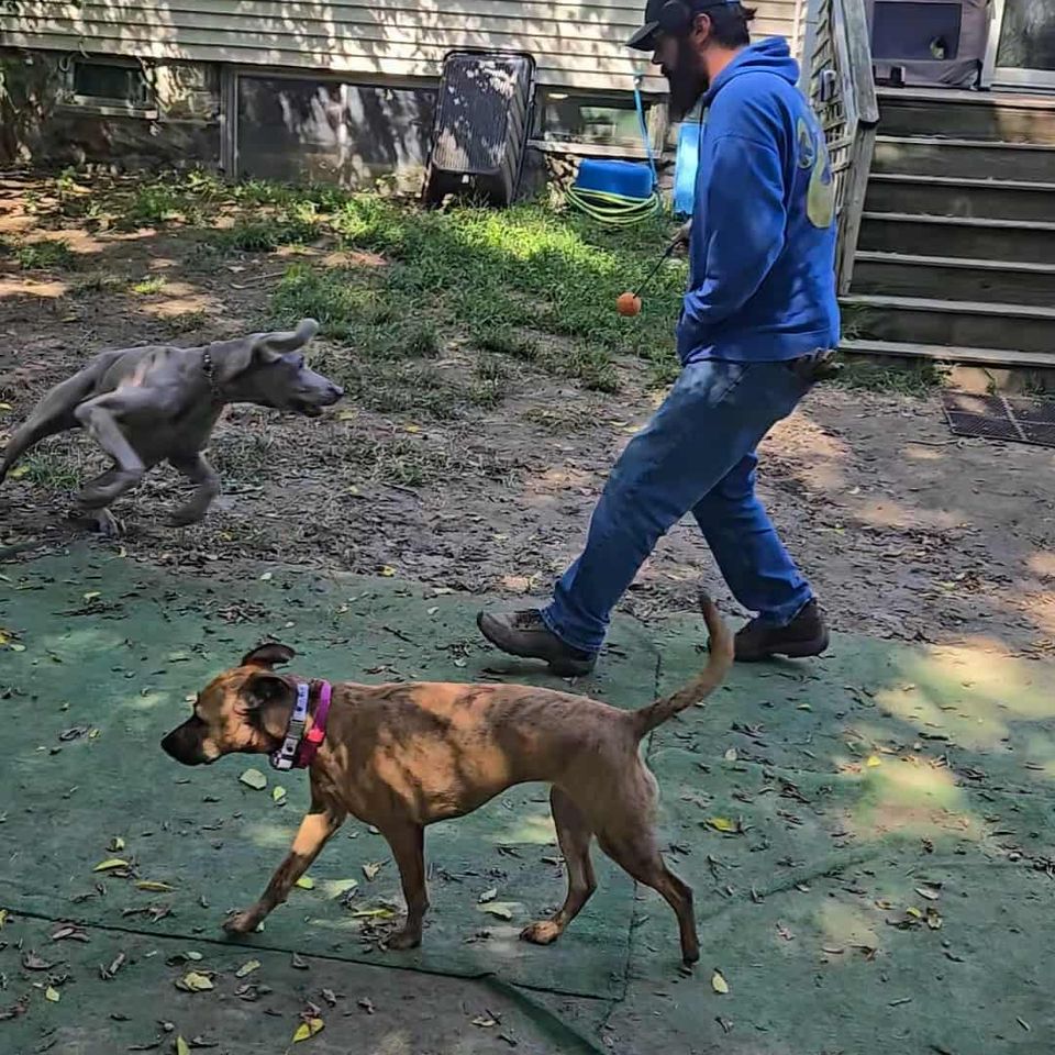 Messenger creation 1829893657602496