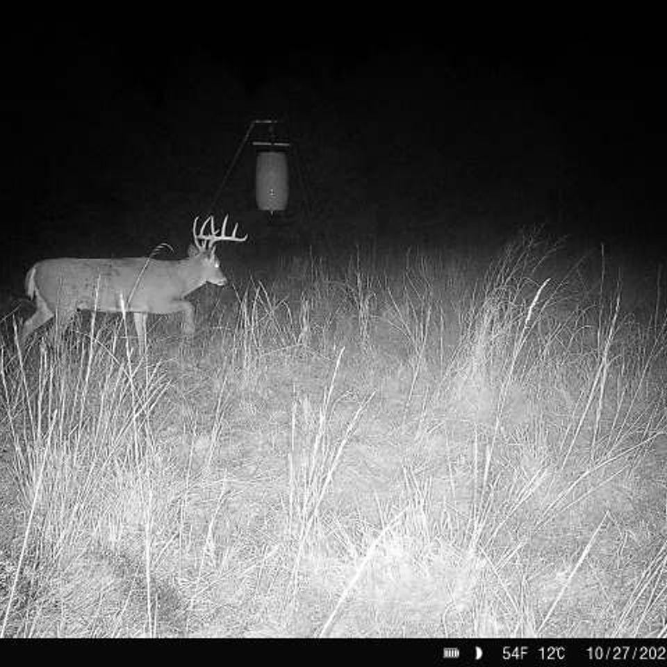 864049056169958 100 3 10272025064746 w1000067