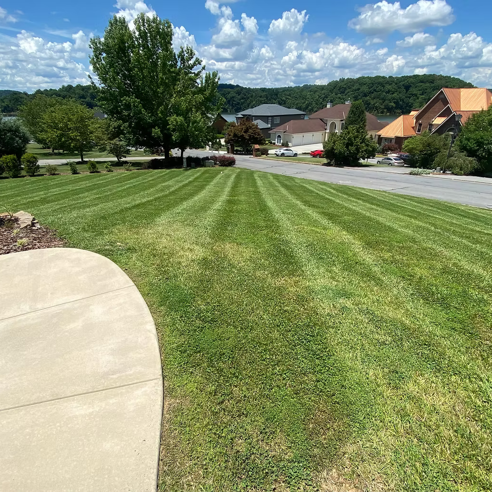 Mowing landscaping johnson city51