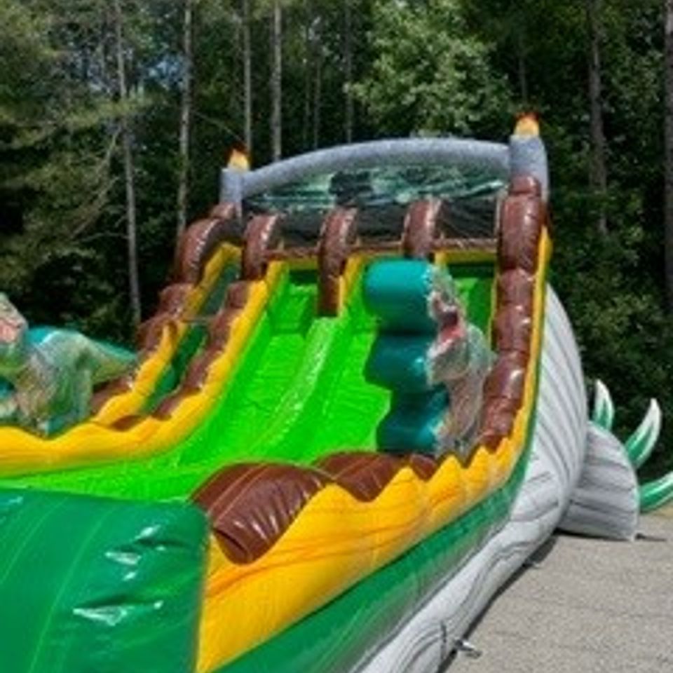 Dino triple slide