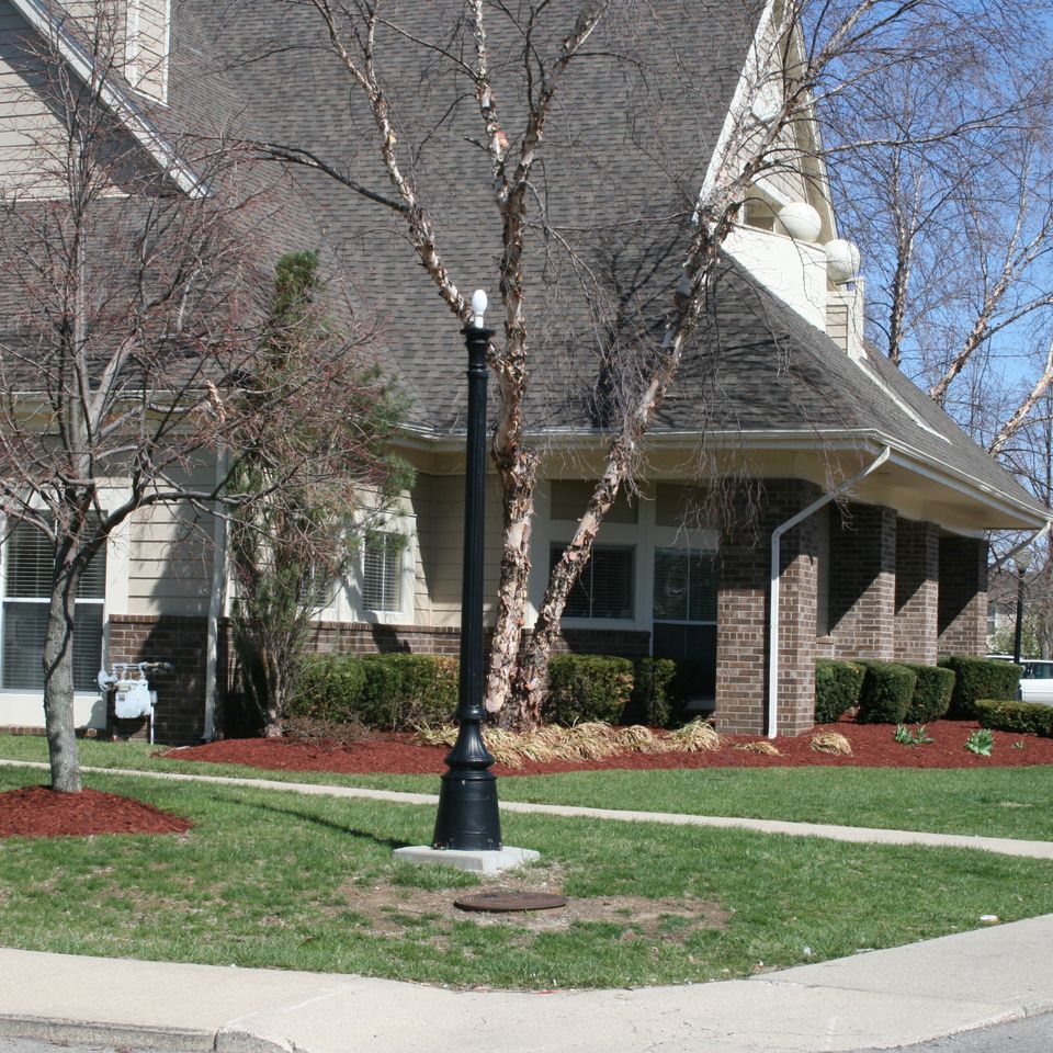 Pic 11