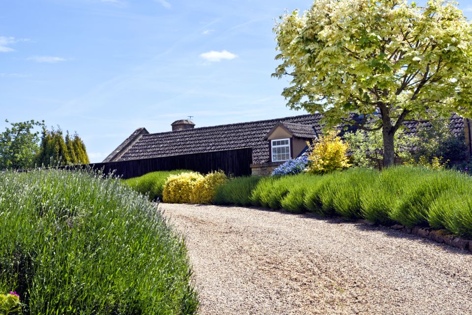 Gravel driveway to a country house with lavender border
