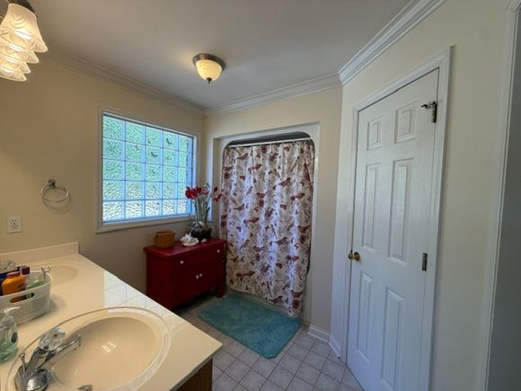 Img 2765