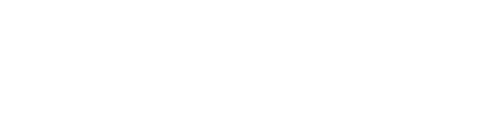 Footer logo 1