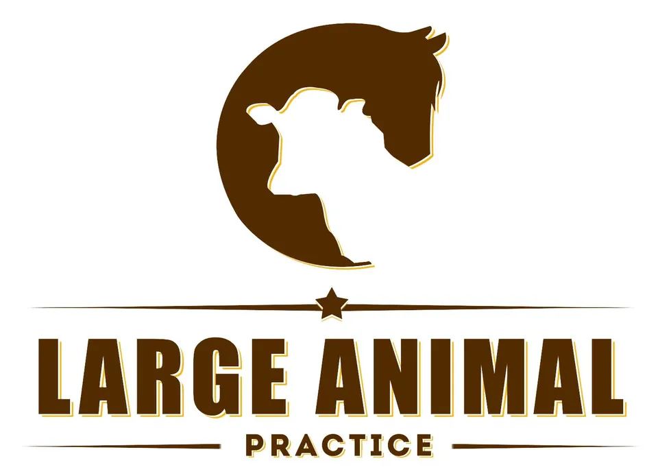 Logo original