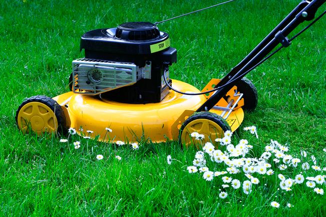 Bigstock lawn mower and daisies 1441606
