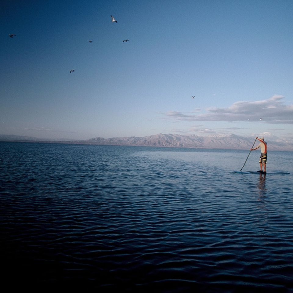 Chuckgraham saltonsea img04820121130 1865 1i8wt81 0