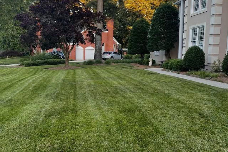 Grass with perfect cut lines in it after mowing, done by Get A Mow On Lawn Care LLC of Chesapeake VA
