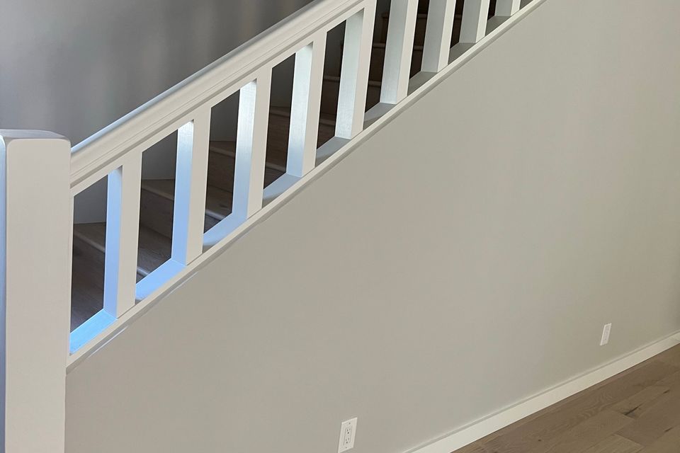 Img 1169