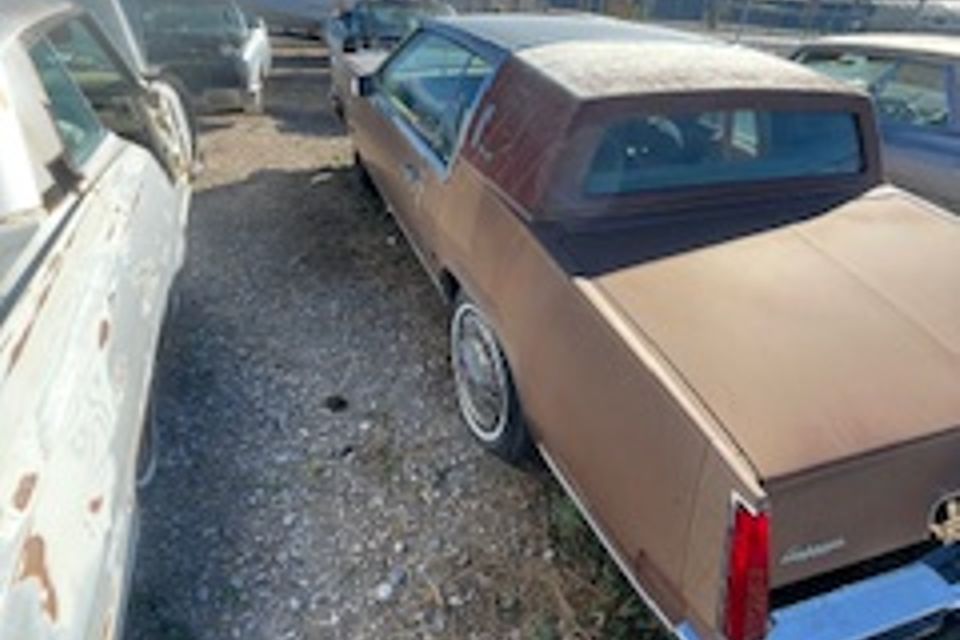 8d9426af c5b3 44ff 9977 a70ca408192e