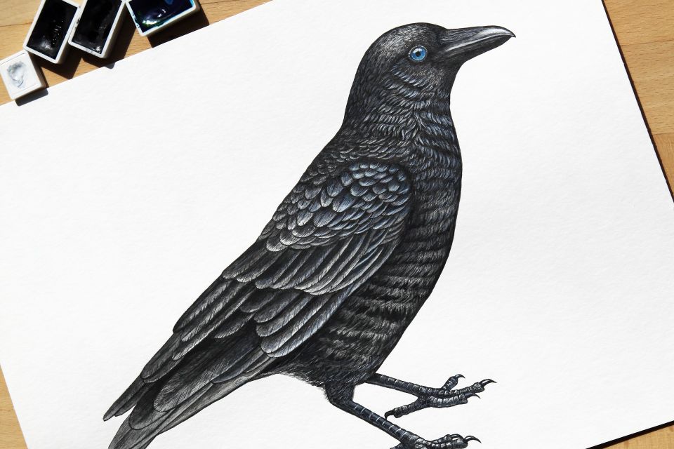 Crow g83d65c569 1920