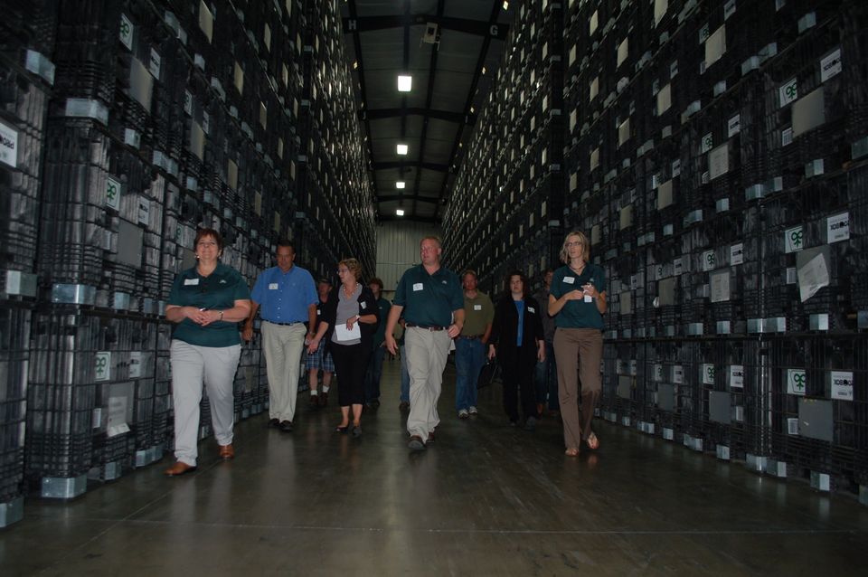 Fmn lead seed feature 3788