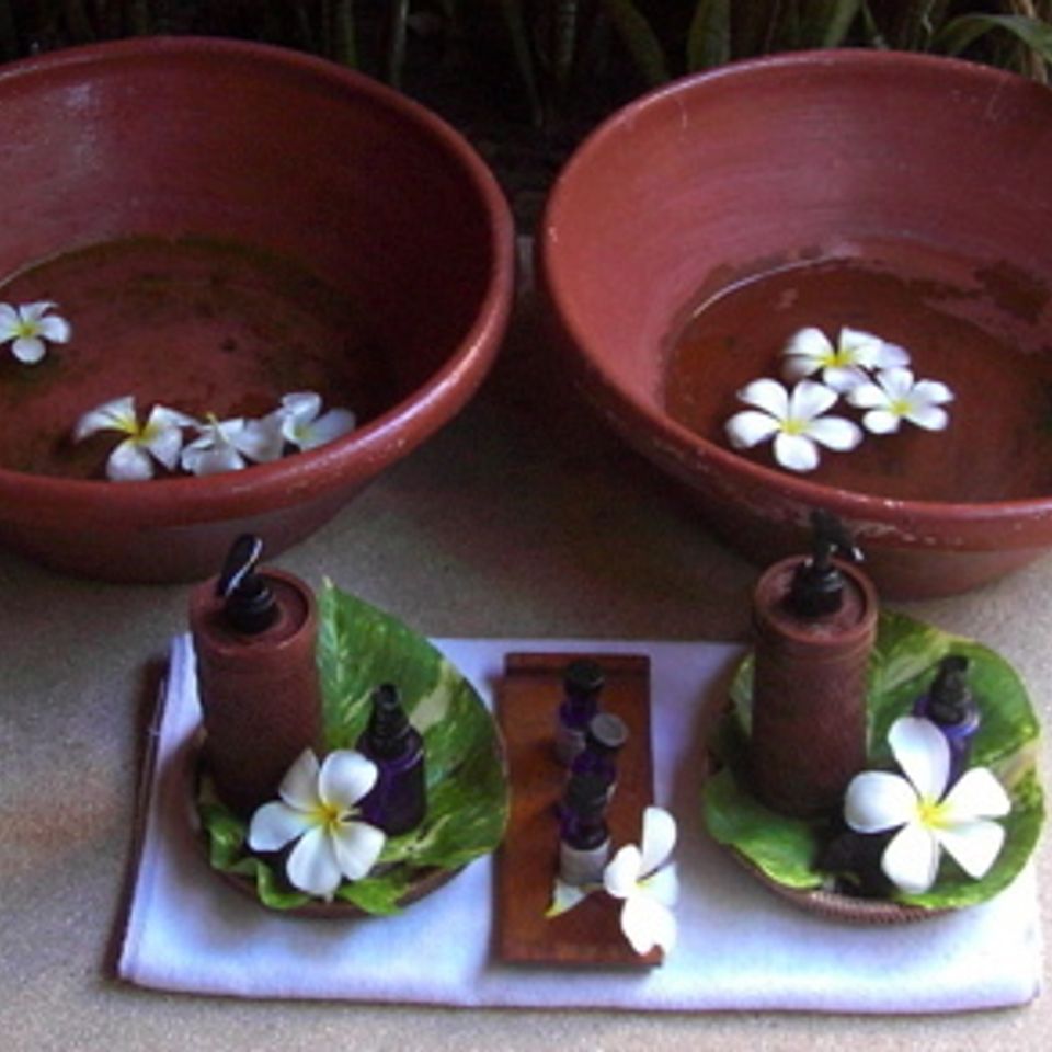 Ionic Footbaths with Tesla Biohealers
Ionic Footbaths with Tesla Biohealers