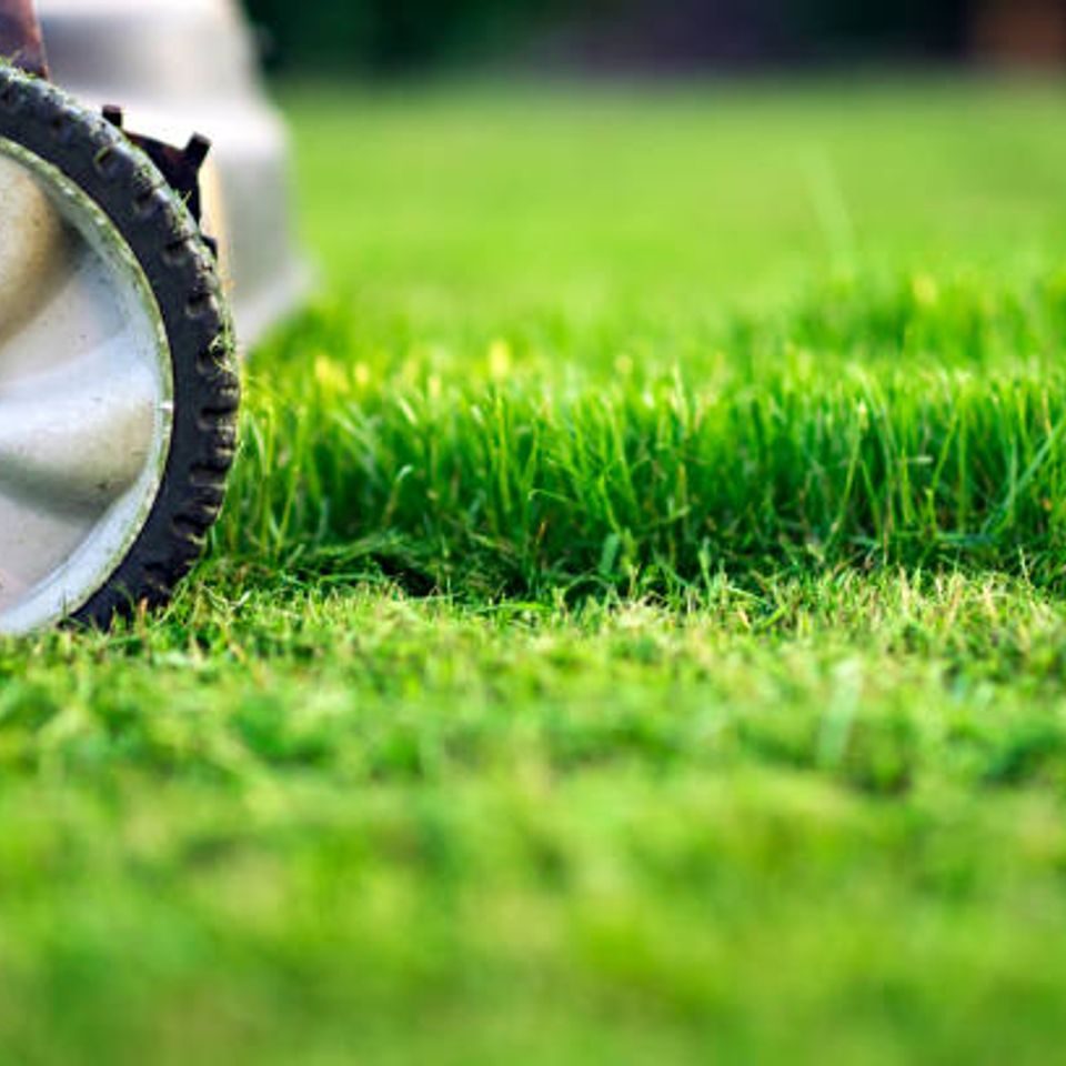 lawn care services roseville