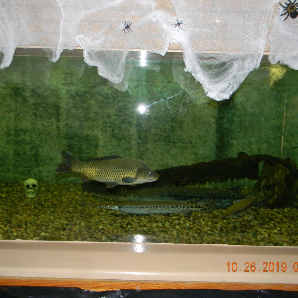 Dscn6385