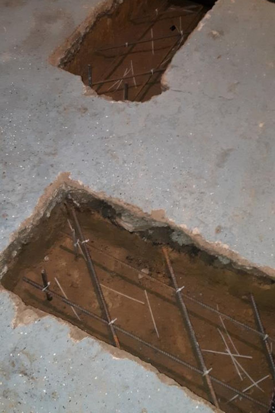 Resized resized 20231029 112542