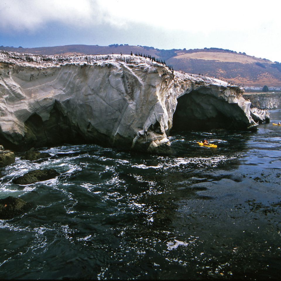 Chuckgraham shellbeach img02520121130 1865 1s8459p 0
