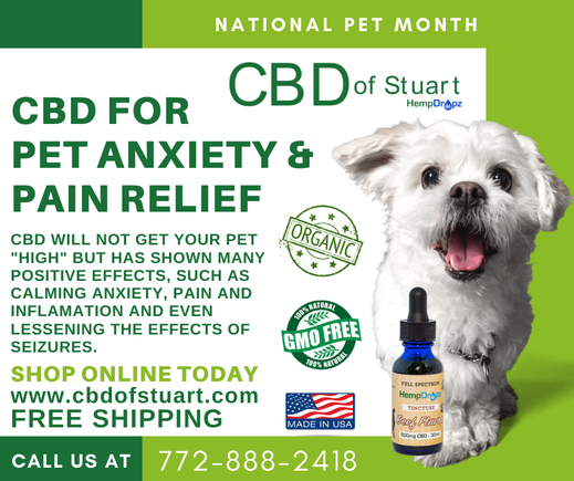 Cbd pet aniety