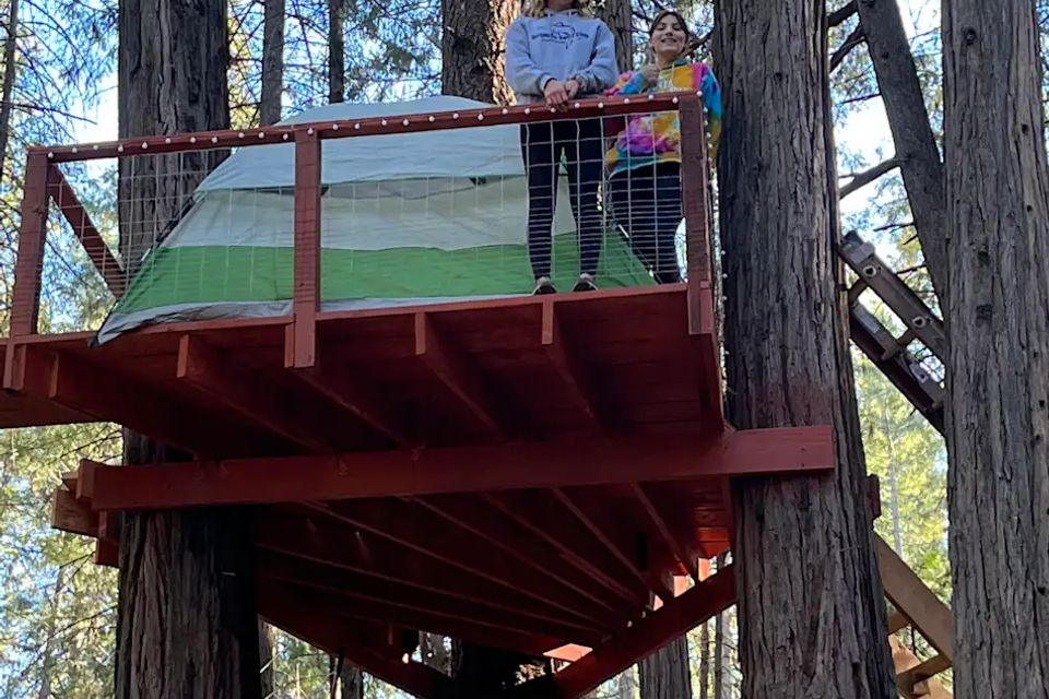 Unplug for nature dogs and kids family dog cabin private 5 acres northern california (2)