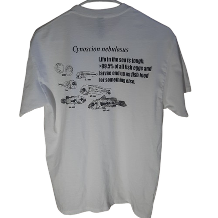 Innerspace spotted back