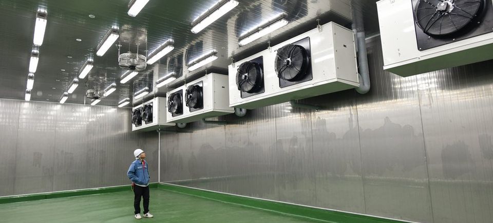 Cold storage room