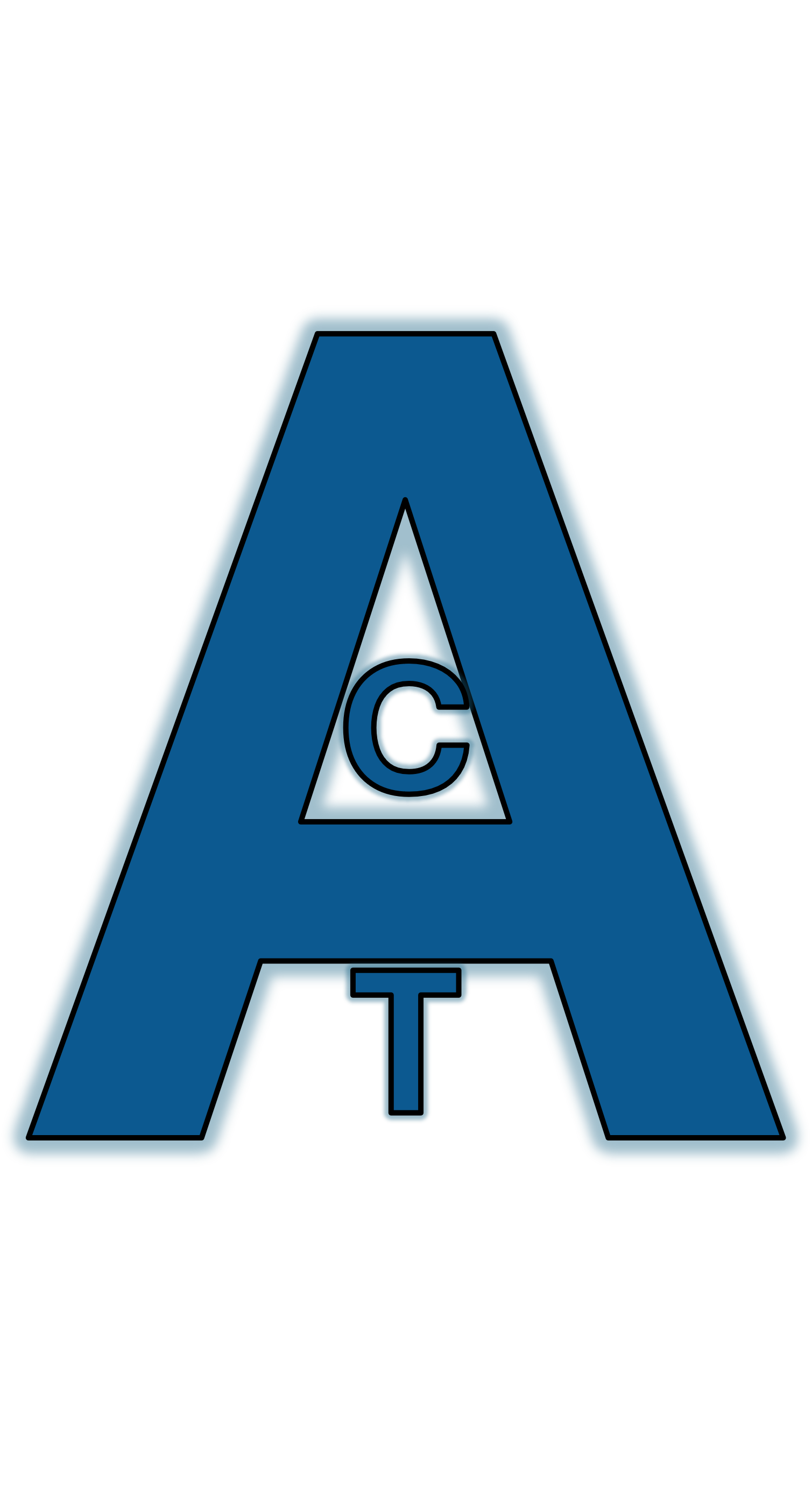 Advantas Computer & Technology