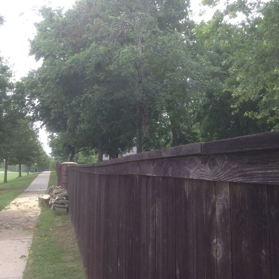 Coulter's tree service   tulsa   tree removal   fence after20170408 14587 2nq44h