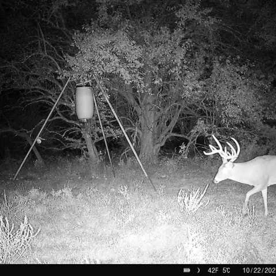 868032066481056 100 4 10222025004516 w1000052