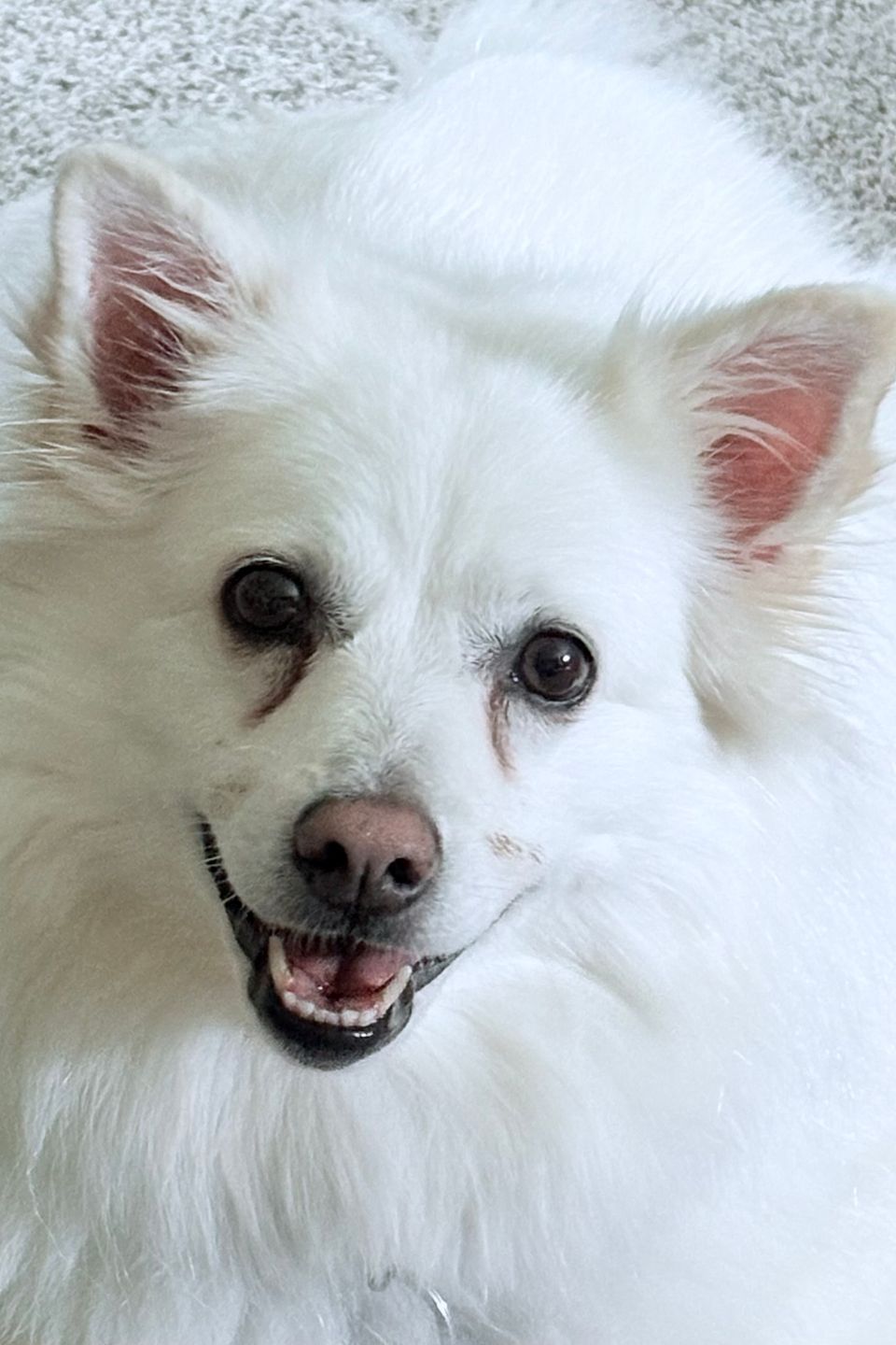 Molly