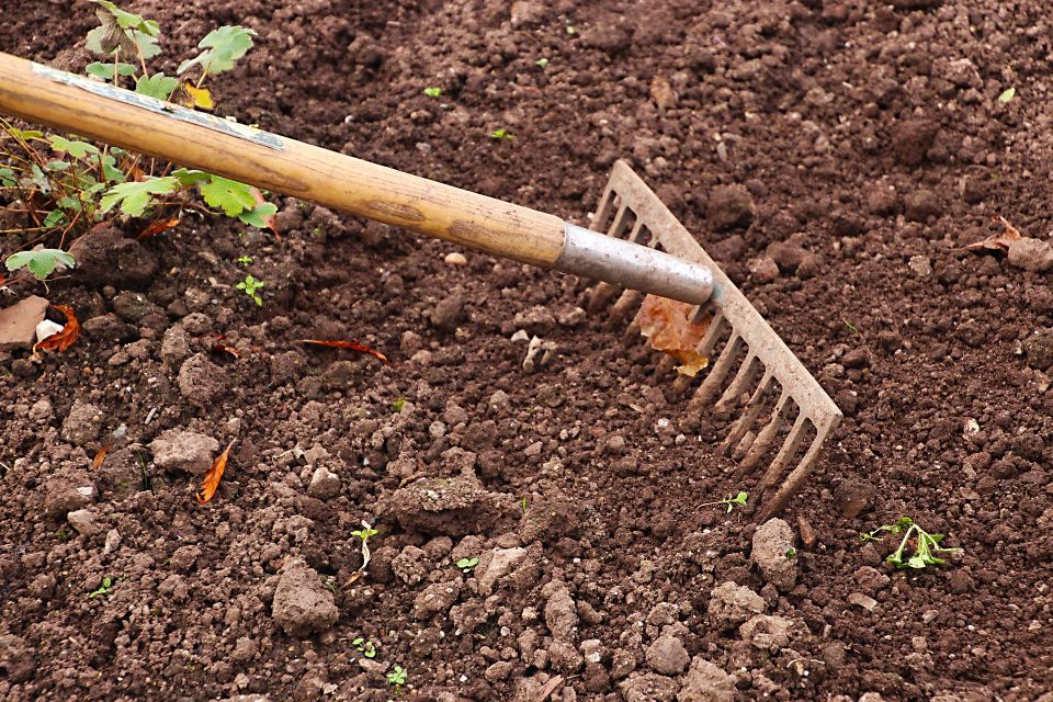 Rake 54e9d4464d 1920