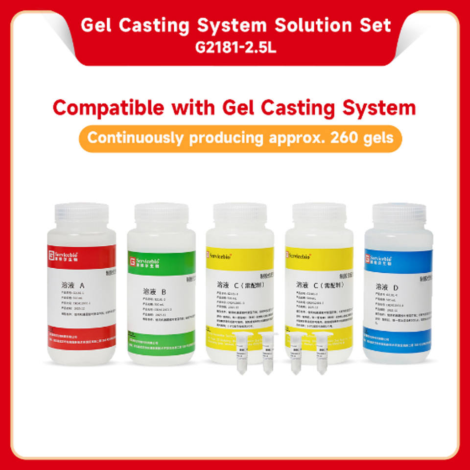 Be g2181 2.5l