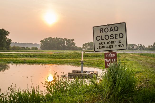 Pond sunrise june 42019