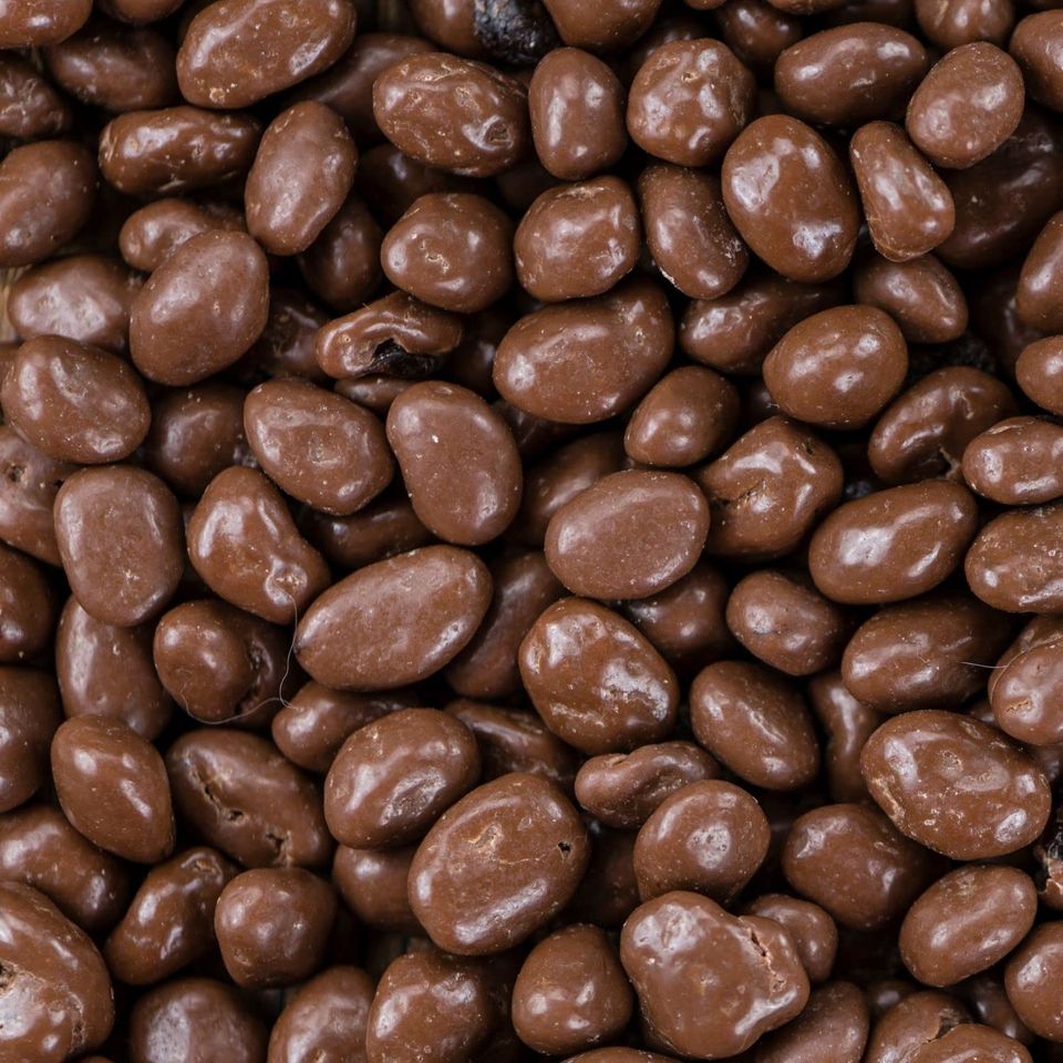 Chocolate covered raisins