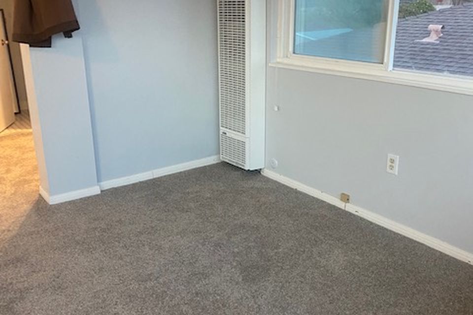 Img 3559