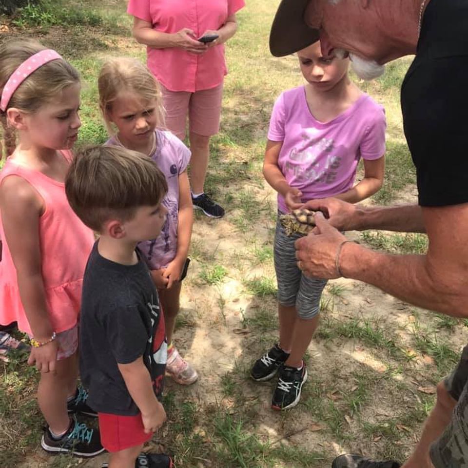 Baby turtle at orange hill gator farm in chipley