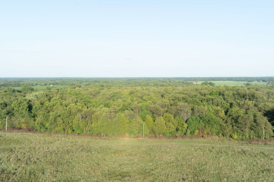 38 acres wentworth missouri 4