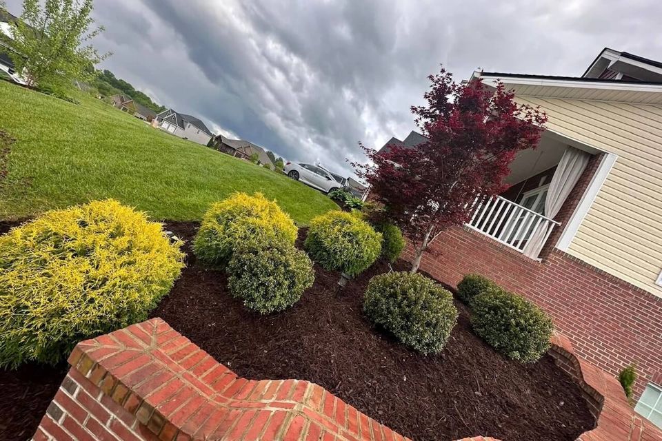 Image2 1