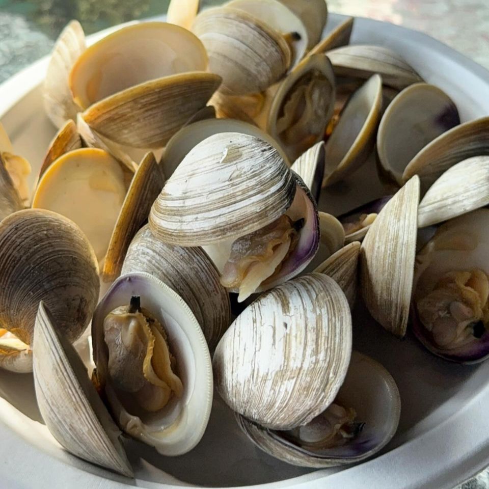 564156117 17873686737431943 8380862799574233254 n