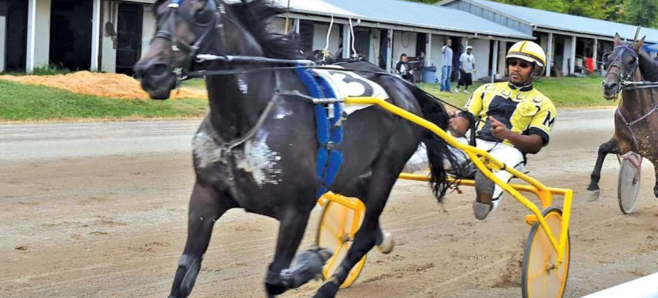 Harness racing2