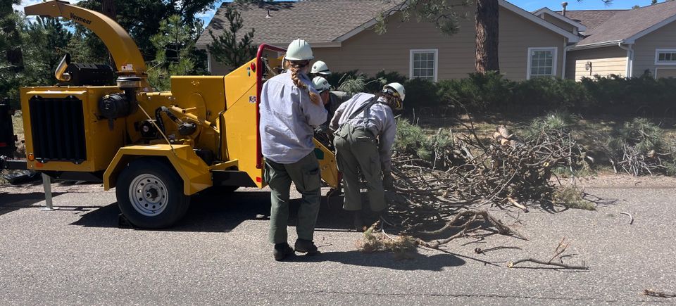 Crews chipping slash piles