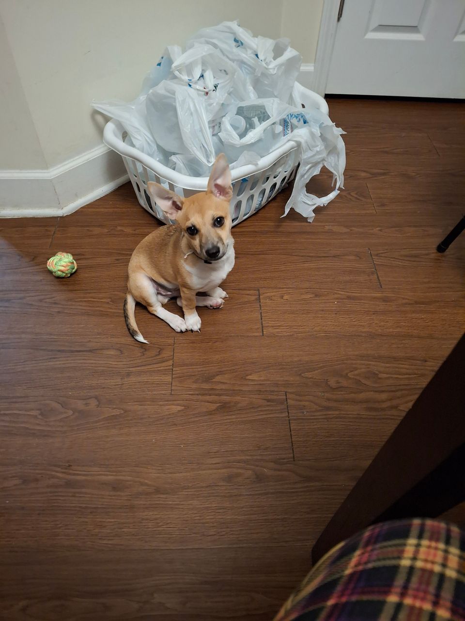 5 inbound8867867484698429684